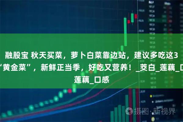 融股宝 秋天买菜，萝卜白菜靠边站，建议多吃这3种“黄金菜”，新鲜正当季，好吃又营养！_茭白_莲藕_口感
