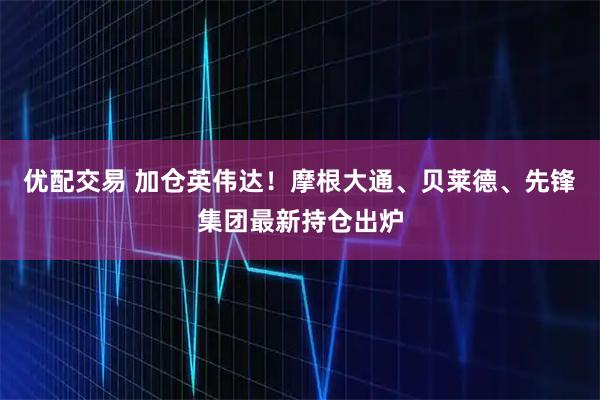 优配交易 加仓英伟达!摩根大通、贝莱德、先锋集团最新持仓出炉
