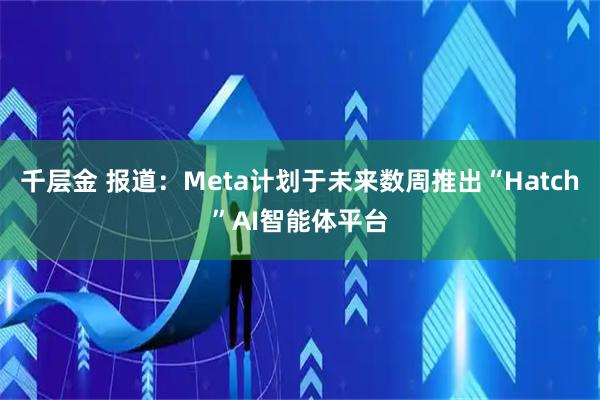千层金 报道：Meta计划于未来数周推出“Hatch”AI智能体平台